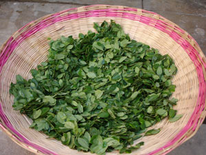 15-Nutrition-300.jpg