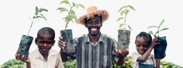 Haiti Tree Planting Haiti Tree Planting