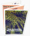 Brochure gray
